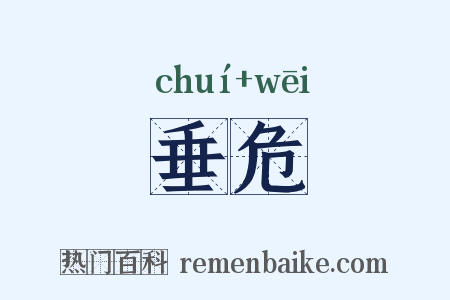 垂危是什么意思的图片